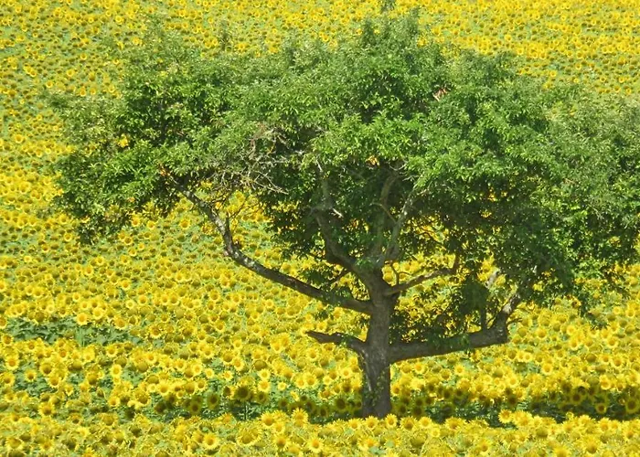 Holiday home Lemoniegites